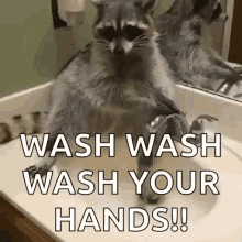 germaphobe-wash-your-hands.gif