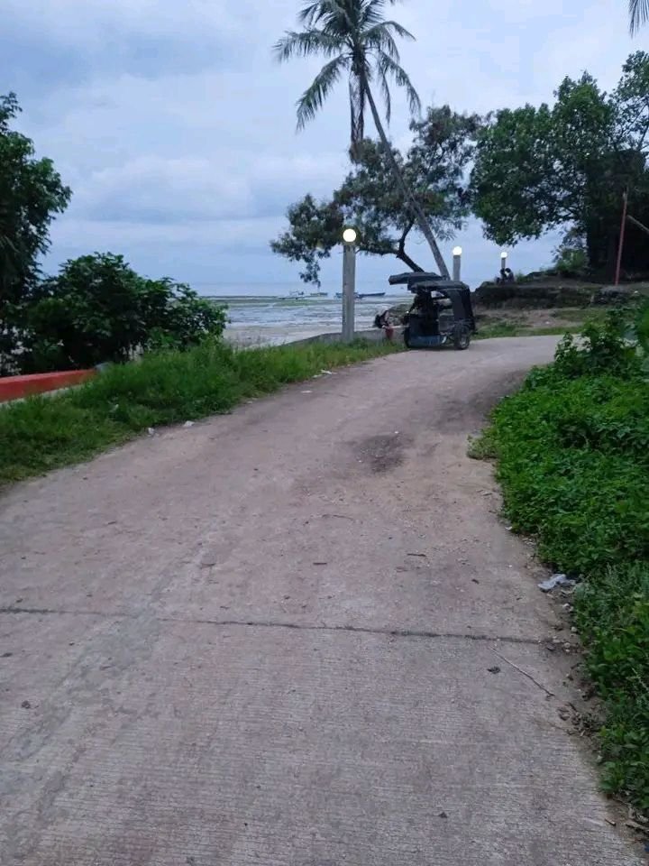 https://files.peakd.com/file/peakd-hive/juralyrondina/23zGa4x48ivmTbKdk7tXqk89nMW8ypqXEvS42qi4HLJk4HiYLc1DdxP5qddGahwz1SMM4.jpg