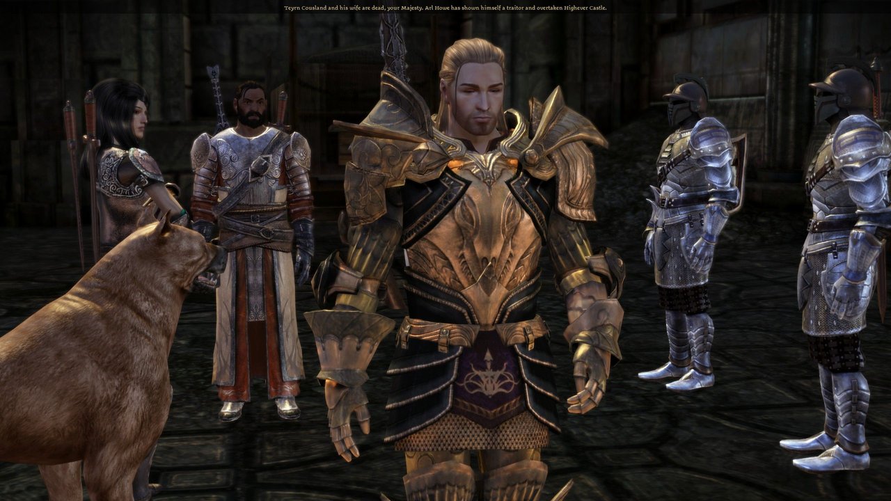 The Male Cousland Warden.  Dragon age origins, Dragon age series