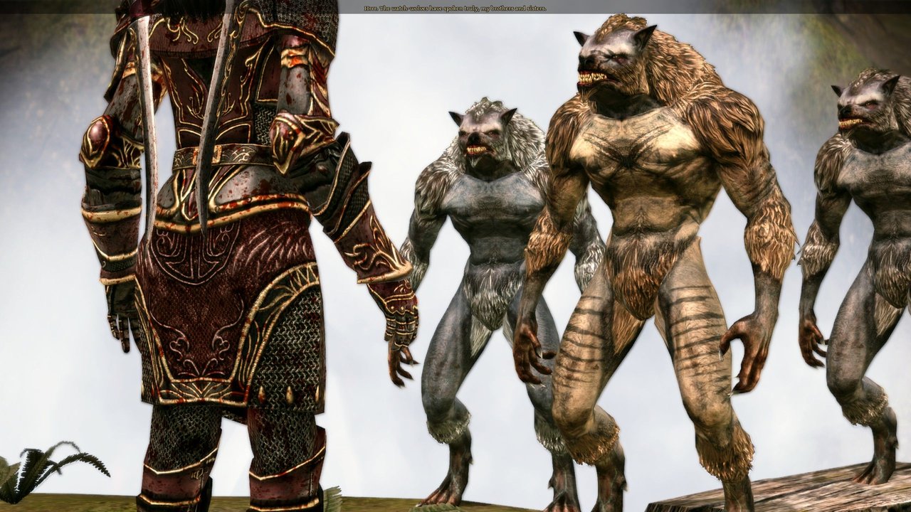 Nature of the Beast Blighted Werewolves at Dragon Age: Origins - mods and  community