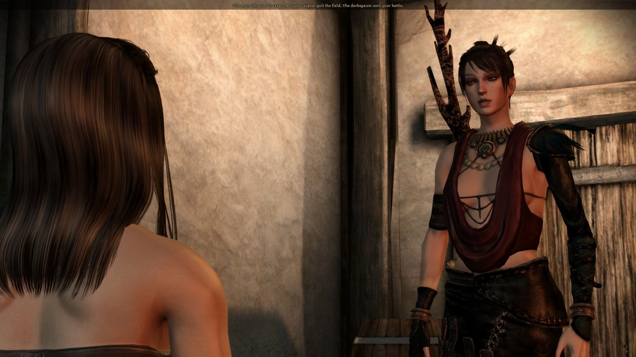Dragon Age Origins All Lothering Side Quests Walkthrough 