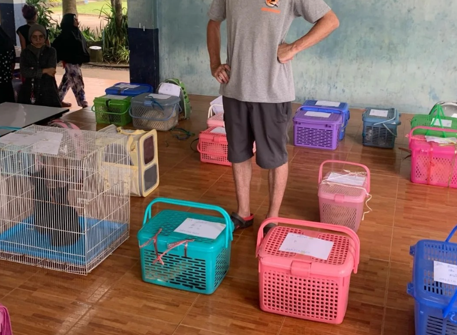 Cat sterilization clinic sees a lot more attendees than we ever expected