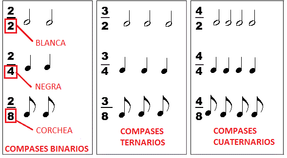 formaciondecompases.gif