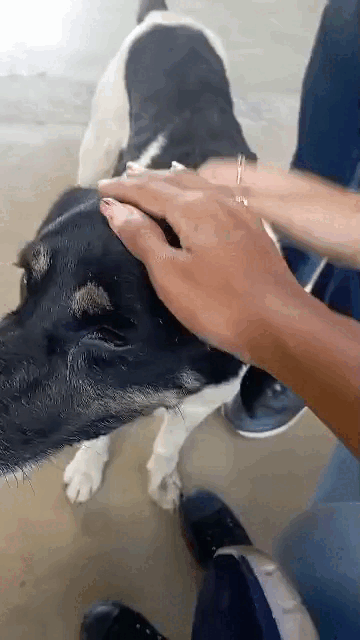 VID-20240702-WA0018.gif