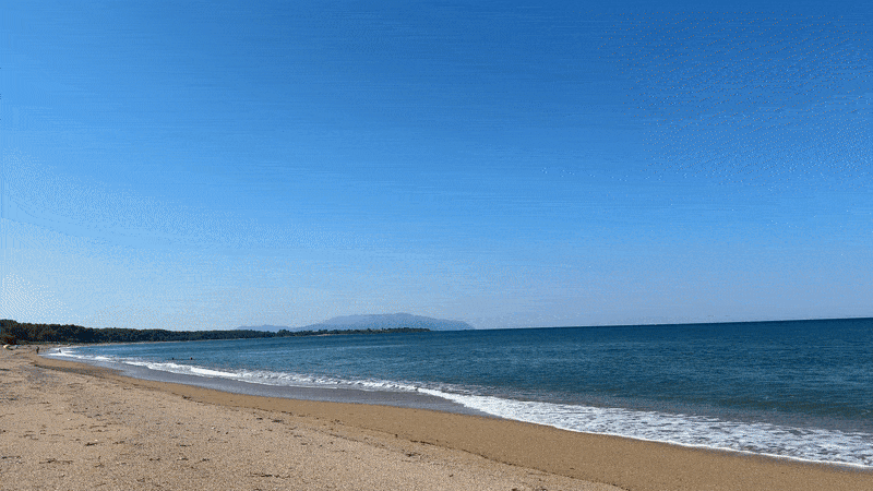 IMG_8599-ezgif.com-optimize.gif