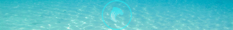 Animated-Water-Divider Final.gif