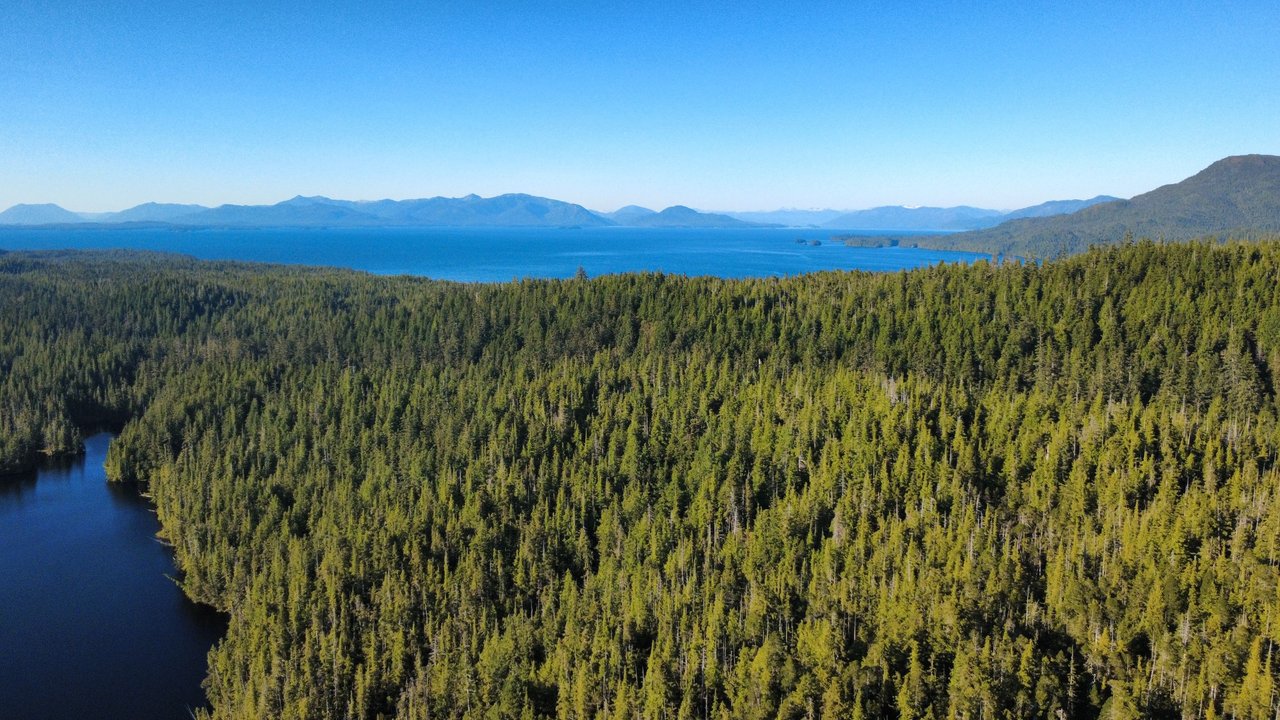 dji_fly_20250829_170730_766_1756516122274_photo_optimized.jpg