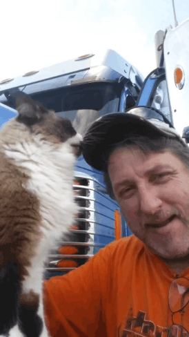https://files.peakd.com/file/peakd-hive/krazzy-kitty/23sUKESo2GXWNrJHzJoPHSnaJgKf3yVXWeF5ZtLAP5UCuQJwYXvSJoQPVNDz7LUwKTAHV.gif