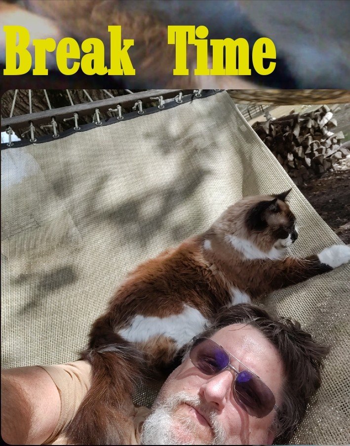 https://files.peakd.com/file/peakd-hive/krazzy-kitty/23wCBrhjz26KzFLRd52F3hBYKZoUvTYLUBhz3CW7ute7D7XJmW7dzzEKdPeiC15dm7wMN.jpg