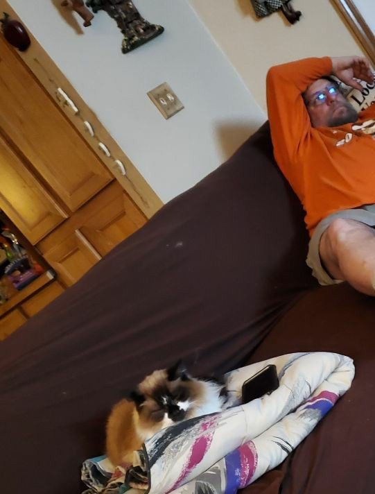 https://files.peakd.com/file/peakd-hive/krazzy-kitty/23wqgQgjgJxU5dBkfcbqto2z1efV9CL1Dx59C5jHPyuDY1MACGUu7xRTLszeKGh3s6eZV.jpg