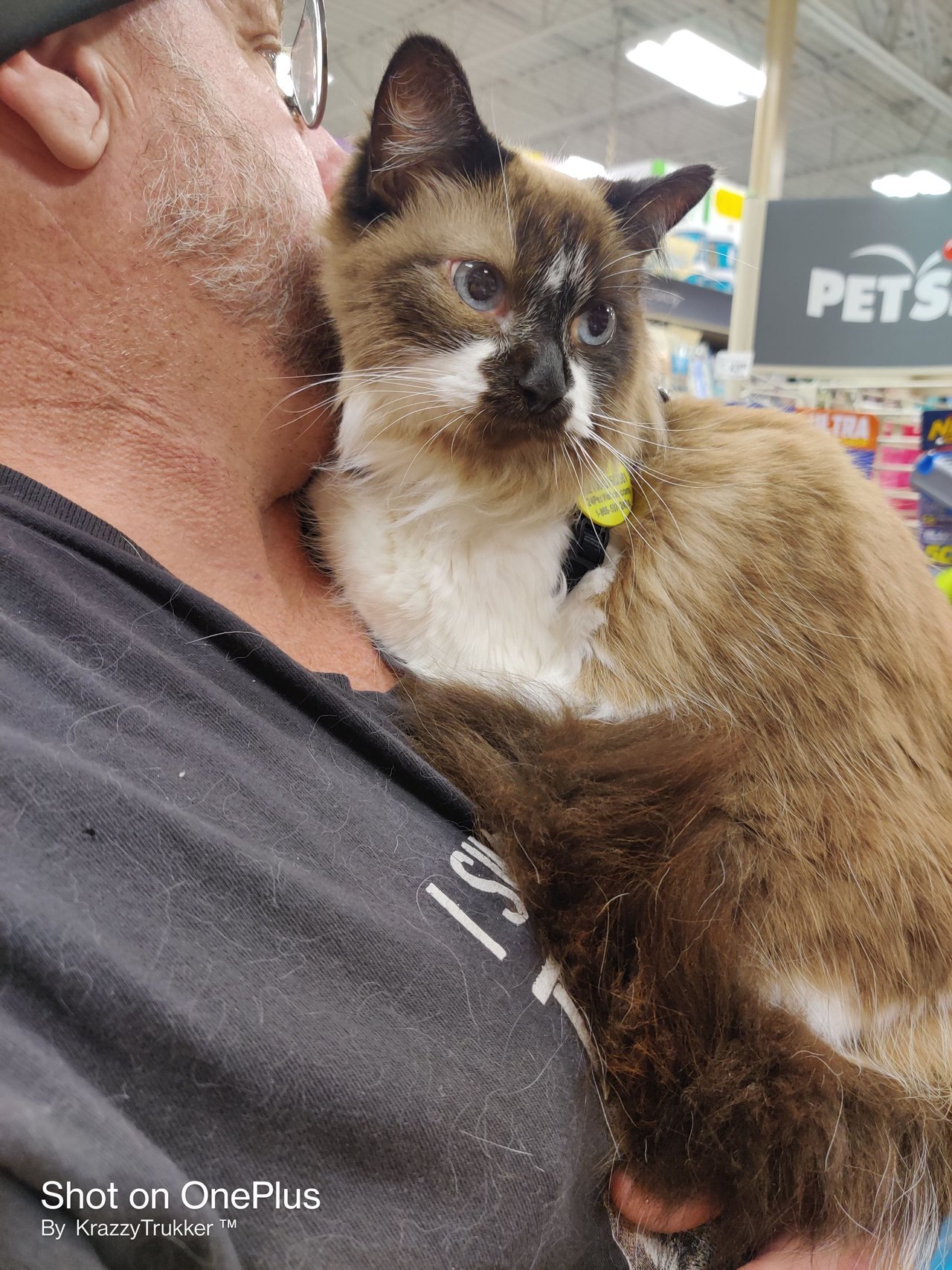 https://files.peakd.com/file/peakd-hive/krazzy-kitty/23xyV8uWojgvkp8uQvo2ogN1i3dxcfXygmjnsM8jPK32A9wKyTEj6A5uTTzgKXs3oZMD9.jpg