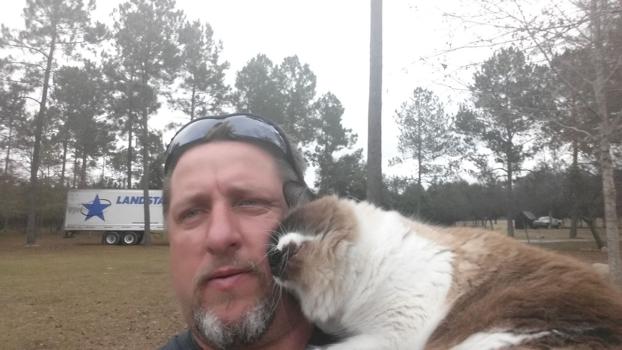 https://files.peakd.com/file/peakd-hive/krazzy-kitty/243M9TPYhdDEk1S1zek3gm1RJiHKTkSKxAWx7JBwKCuuXDB7qrpzBpjEszF3TqypCnPvu.jpg