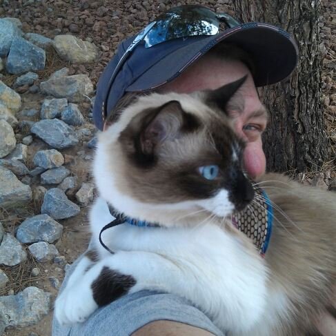 https://files.peakd.com/file/peakd-hive/krazzy-kitty/AJpioXFFQPdjQWsZGDvfxPPNd3Tcxj1ZFJ3tsiJLSCXqm6aXYFoNQCDZMGoEL23.jpg
