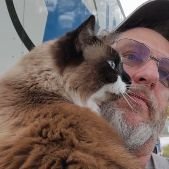 https://files.peakd.com/file/peakd-hive/krazzy-kitty/AK9PGL4w72wrFpwtYkRs7TNLj5dYb9QxNJVbTkE7yKyKTEN7y53VKvg6qVD5qnK.png