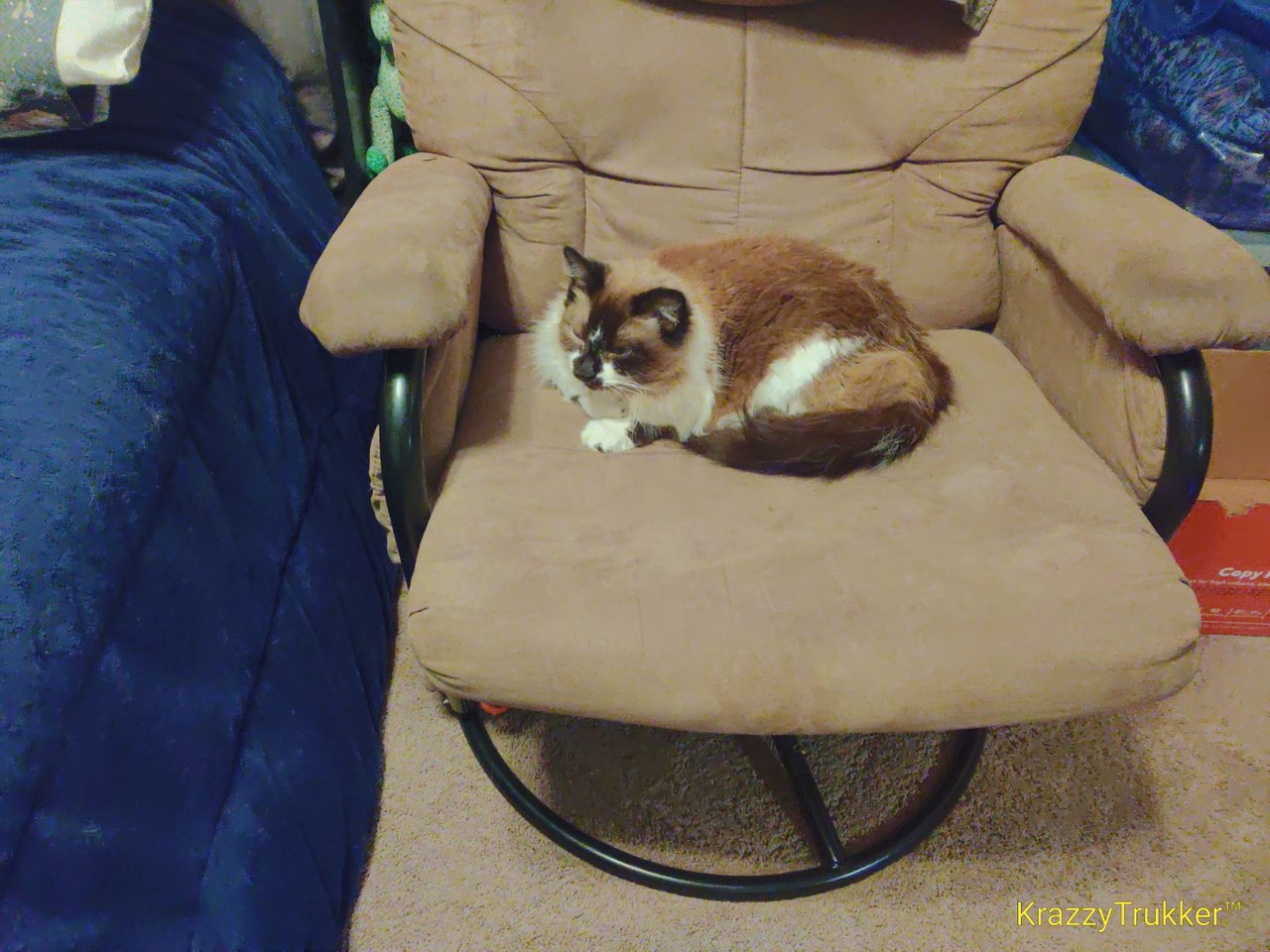 https://files.peakd.com/file/peakd-hive/krazzy-kitty/Eo8SsLnRrGWxDycMw2Avqbzbfcj1e8V8woAMFxqtpJNgd7CuQeLQ8xMbSmgN4NEBNat.jpg
