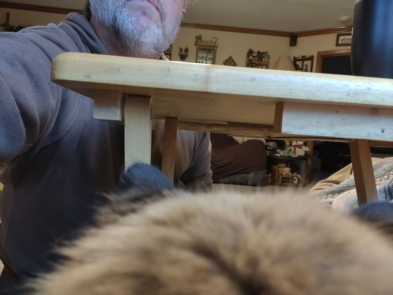https://files.peakd.com/file/peakd-hive/krazzy-kitty/EoEpUcQU8kkrEULTbk6V6rRRoC4KDRMt4vpkmtRqMo45WyNKYGwkXyCrm3zWtXTcHv9.jpg