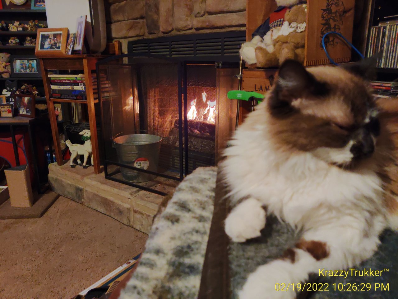 https://files.peakd.com/file/peakd-hive/krazzy-kitty/EoEpXv2JChHRXb3WN7x7Dvi1MKTR8jWN4NG3qzm2basrkywK1UkiJfjnKViNdQUsMzY.jpg