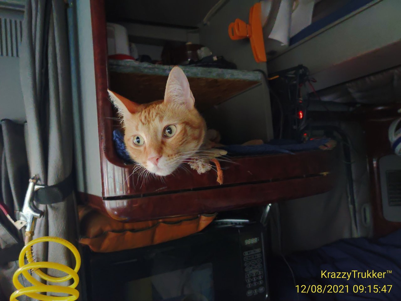 https://files.peakd.com/file/peakd-hive/krazzy-kitty/EoGrCtWMZGLDrugH2zHyCRN4Vw1TuL42yTwAaAZSGgQG25tXZGze5KffxfSCH58C5R9.jpg