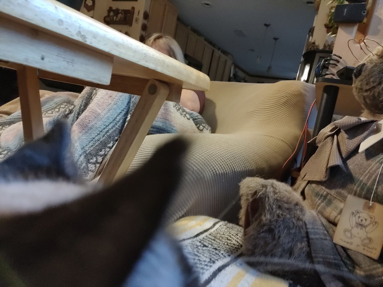 https://files.peakd.com/file/peakd-hive/krazzy-kitty/EoK4qFLs7EEoYRzeyfxvdBMh8qDDSQcmDopaW49JCQsirckvuktnMhvumEFoNZdJxUu.jpg