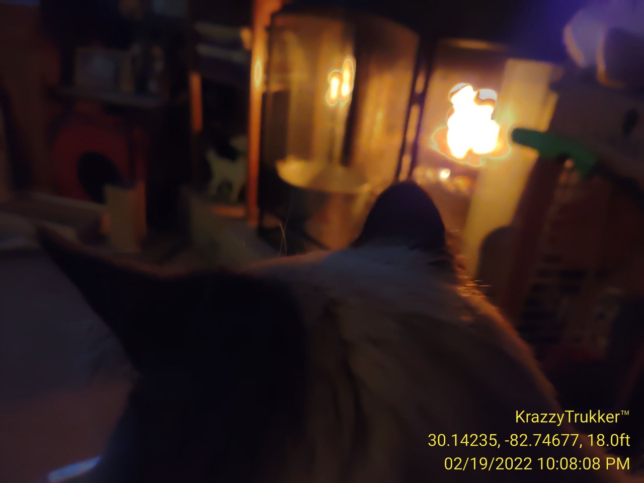 https://files.peakd.com/file/peakd-hive/krazzy-kitty/Eoe8F6xfq6CQsrbSPrv8KtGp1bUNmXNrvGRgFiH29nuWdq6Jsmk3Svw6biYh83RJ2z2.jpg