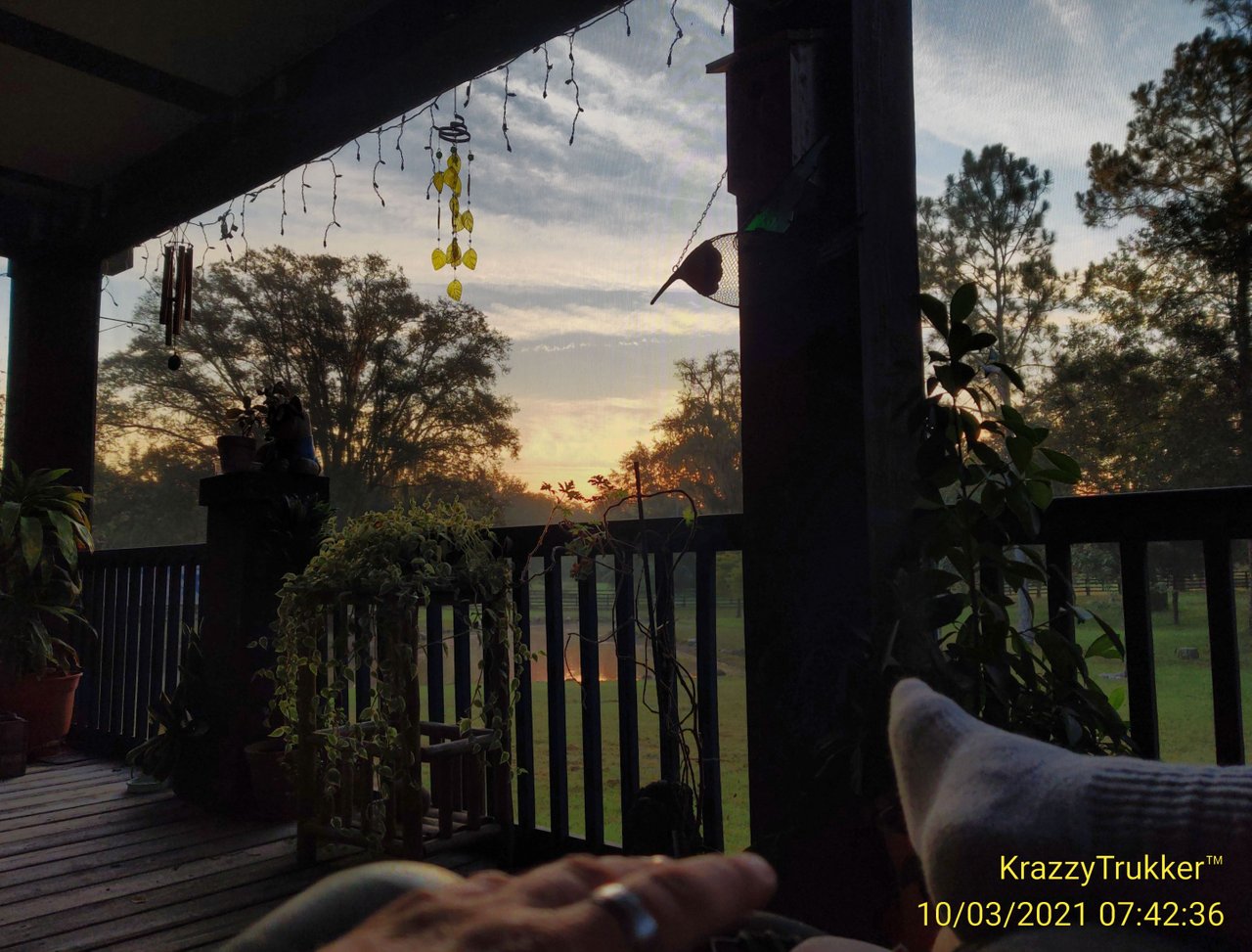 https://files.peakd.com/file/peakd-hive/krazzy-kitty/EopqXzAckuXJz7Btyb198CrWB3zvVS7brPACEx9T6TFF93WHyc6SWzWUia1KKq73RNJ.jpg