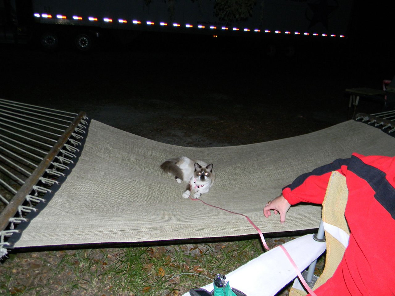 https://files.peakd.com/file/peakd-hive/krazzy-kitty/EopsNTJortJqwyFMfknDE6oTnxHFVqKBj4p3syxPCTQFhkoXFXoTmnRhX2Rru8jkRjP.JPG