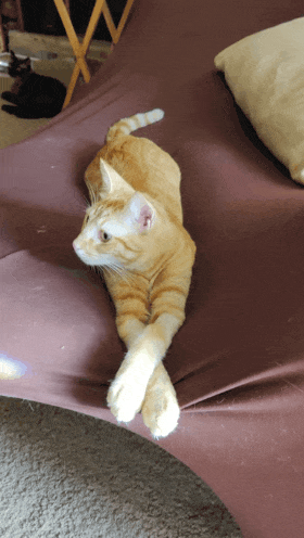 20230606_093640.gif