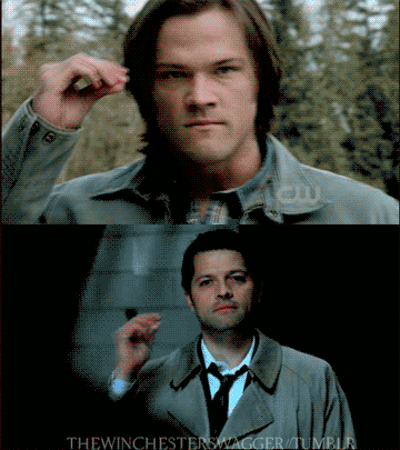 045b30a081ecb6dbbd9c726b05223f7f.gif