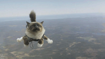Sky Dive.gif