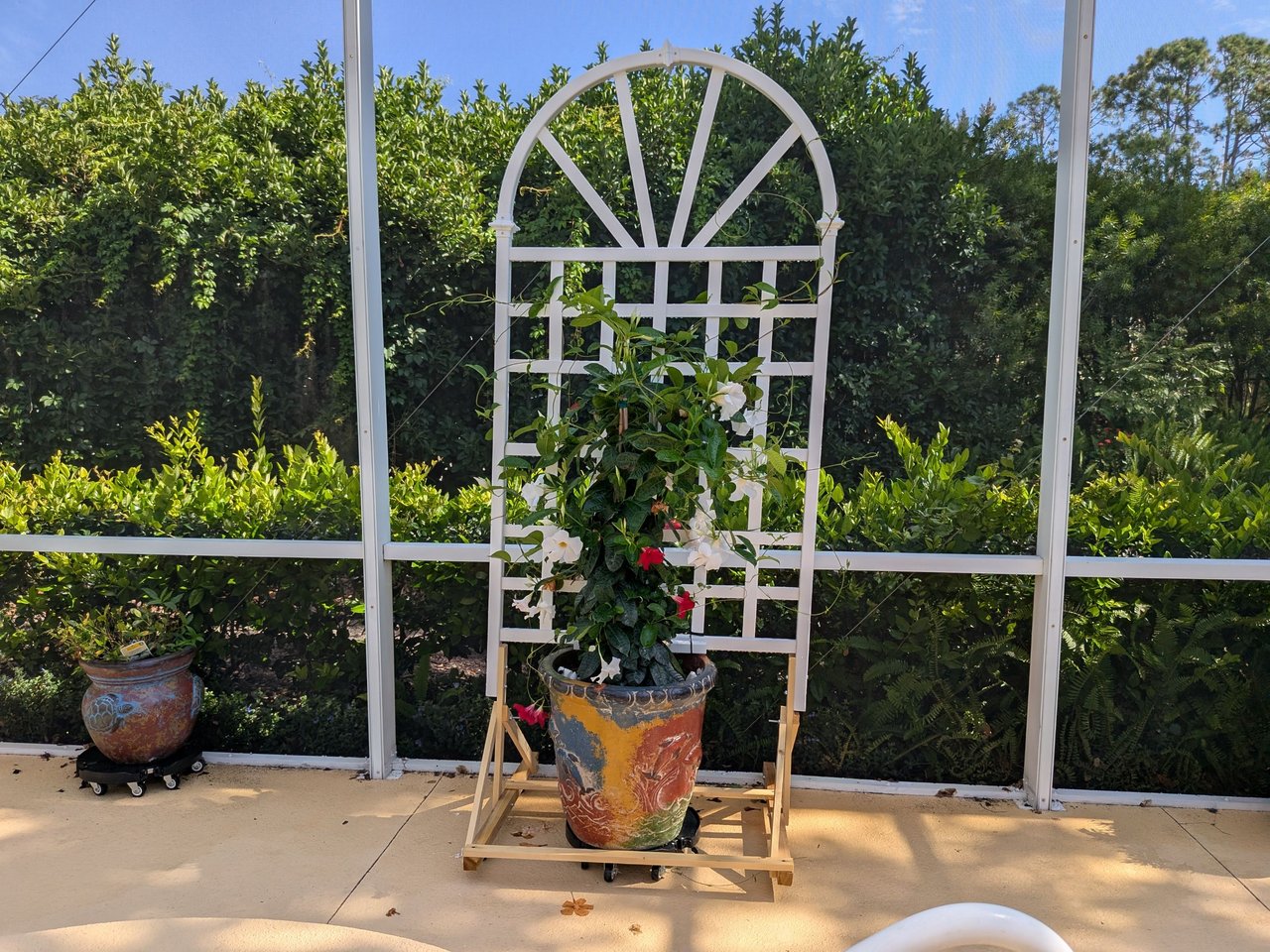Sometimes Sublime Sunday is just Sitting