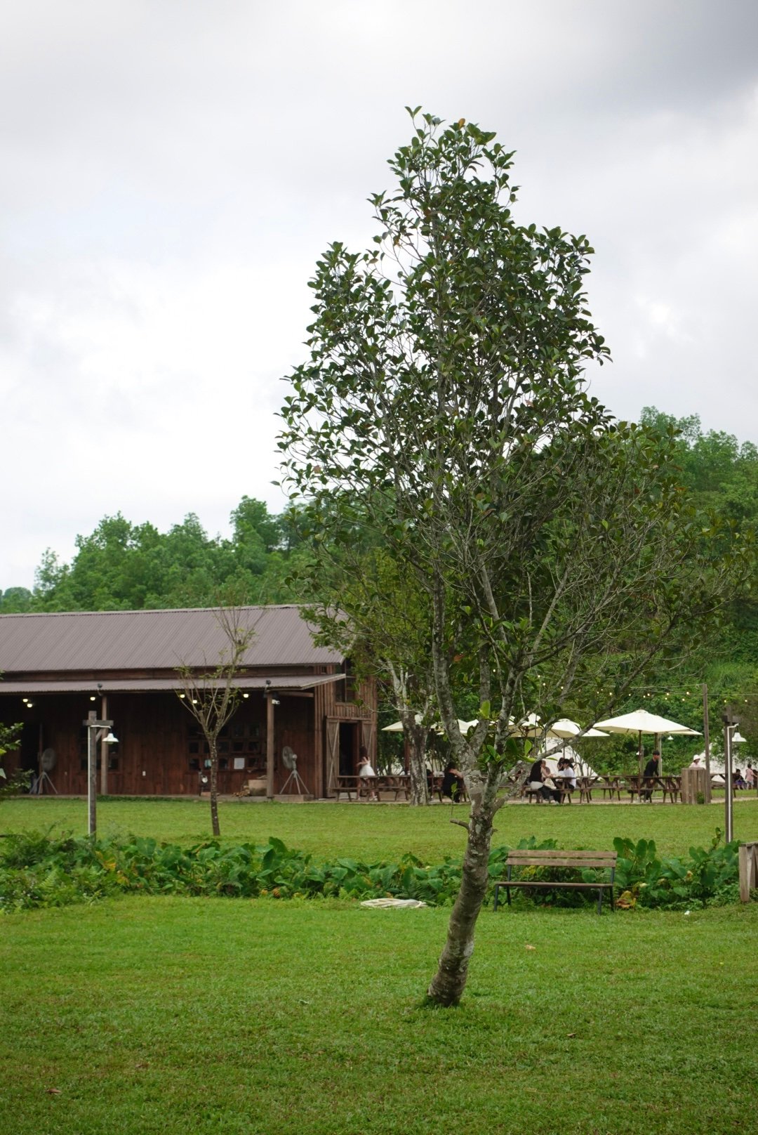 The Farmer Village - surrounded by nature, animals, and the peaceful rhythms of farm life