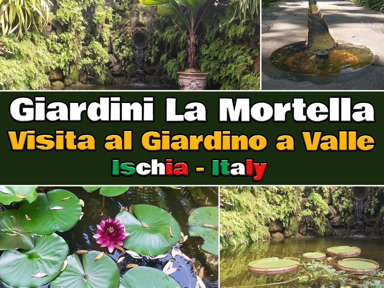 Albero di orchidea - Feel Green - We create nature