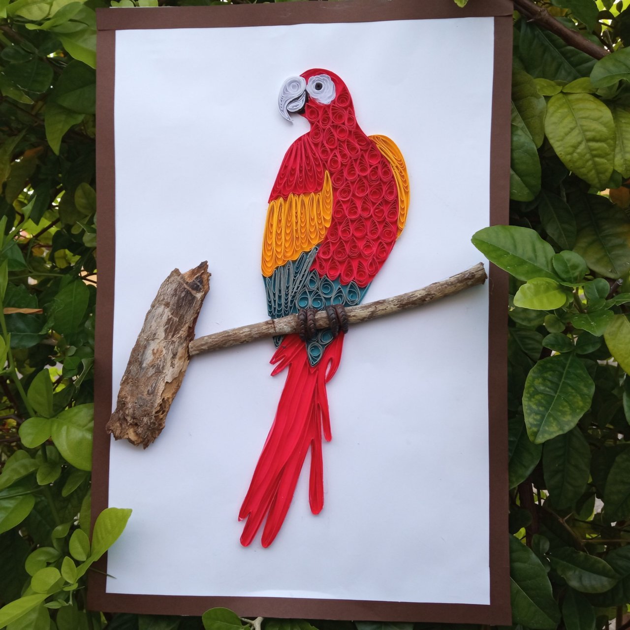 TUTORIAL.¿Cómo hacer una Guacamaya roja en filigrana? TUTORIAL How to make  a red macaw in filigree? | PeakD