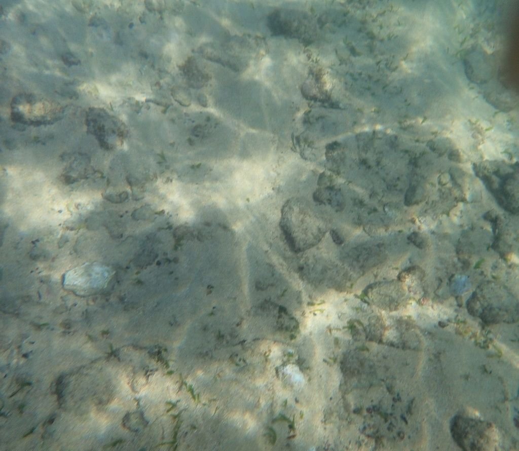 Relics of the Sea