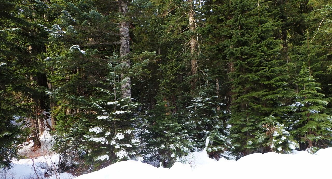 Slippery Slopes