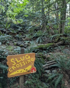 Banana Slug.gif