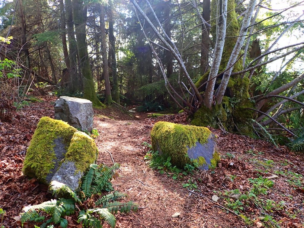 Natural Wonder or Druid Hangout?