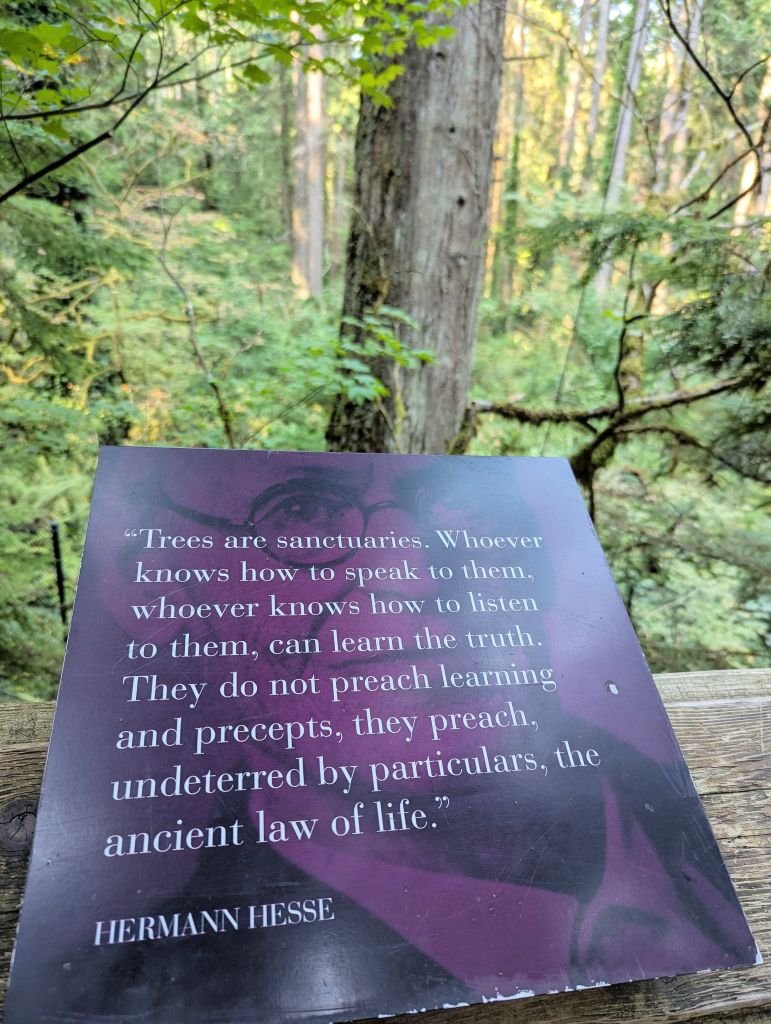 Forest Wisdom
