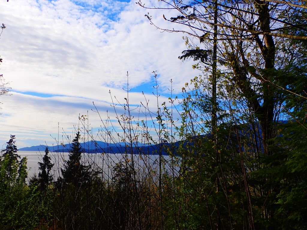 A Nature Break