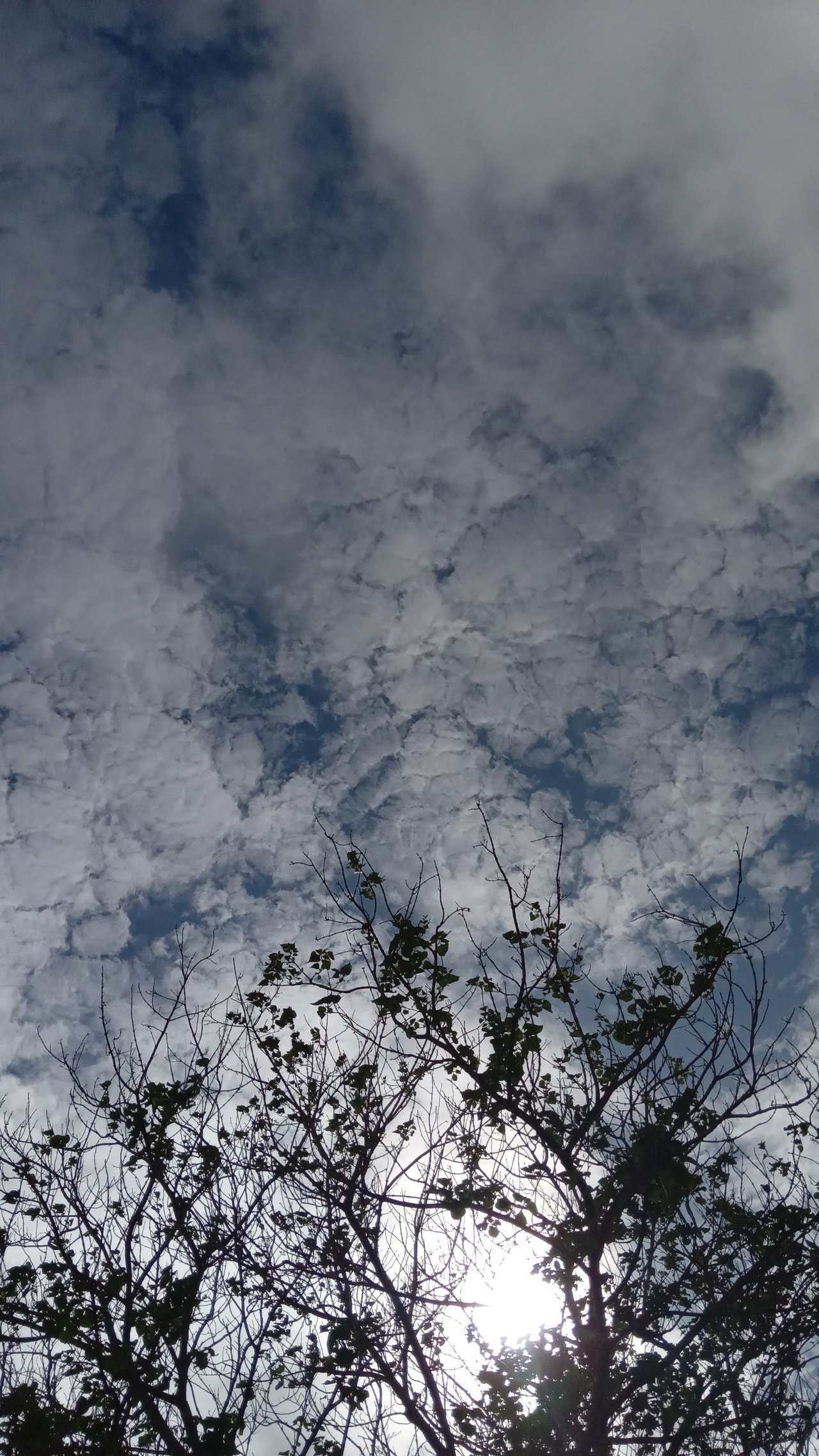 Spn/Eng  / Un solo cielo y muchas fotografías/ One sky and many photographs