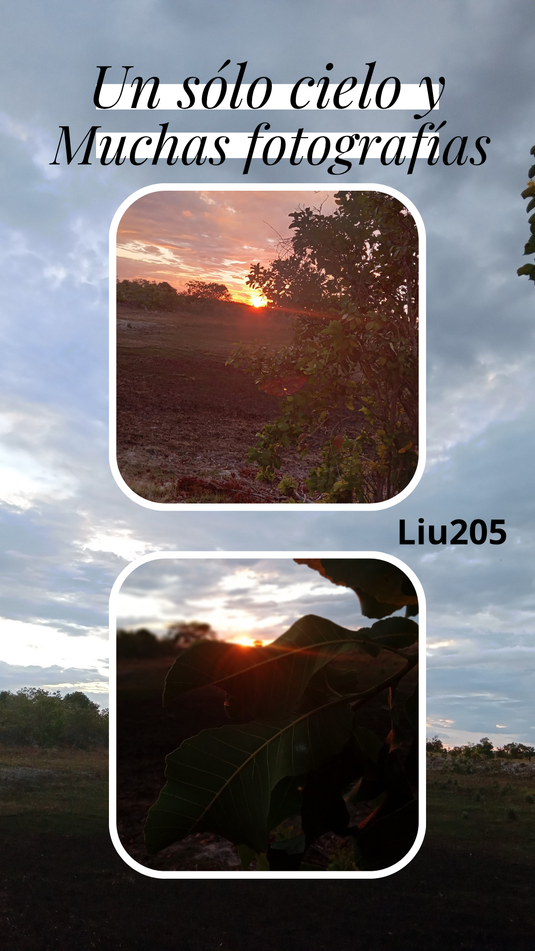 Spn/Eng  / Un solo cielo y muchas fotografías/ One sky and many photographs