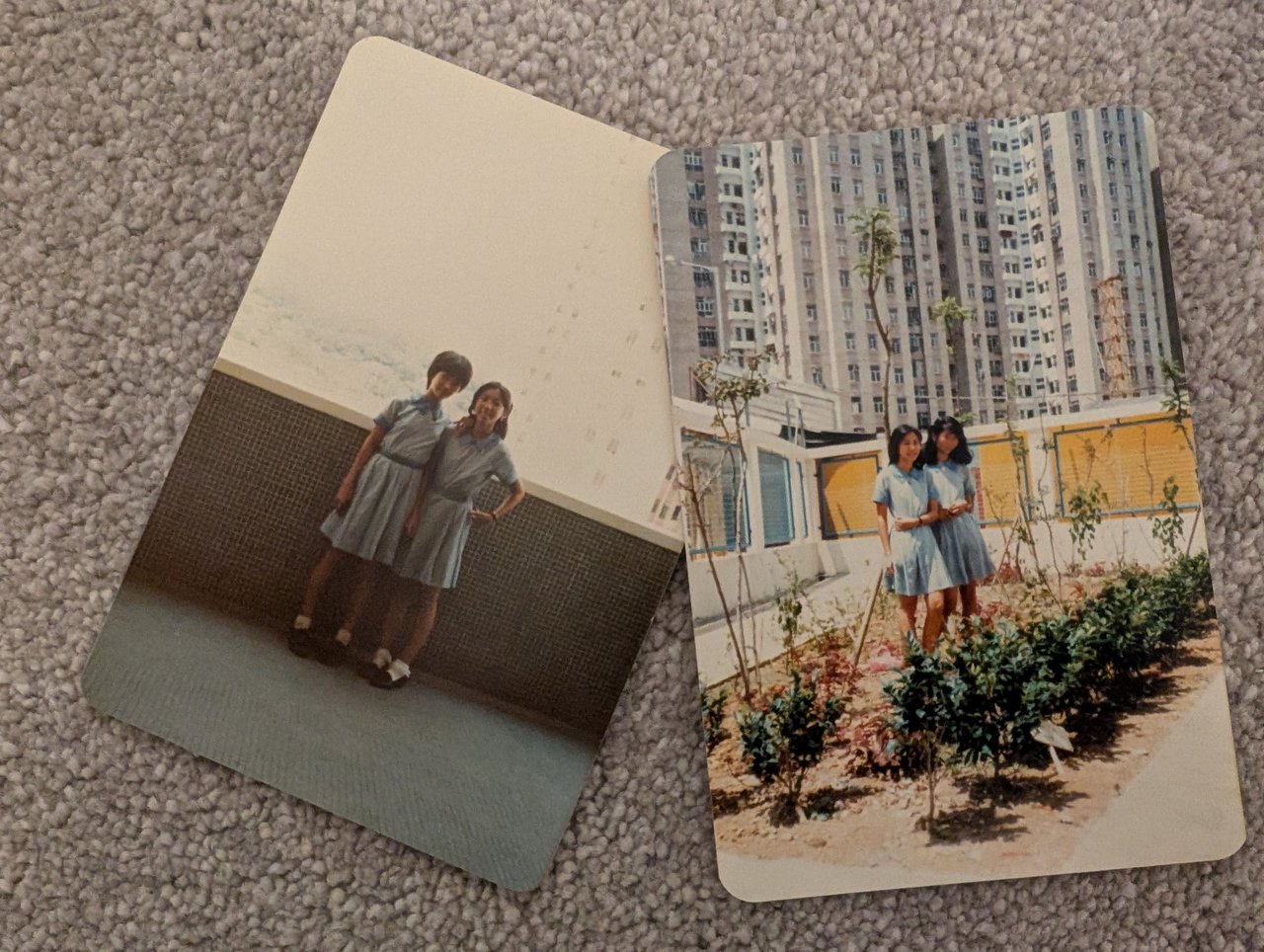 https://files.peakd.com/file/peakd-hive/livinguktaiwan/23x196EmJQGN2d7ycDbyr5yPYa1AAqHJyLBoiGAveBGj8yN9YM2MP6q9k9GL5QFQcZCnR.jpg