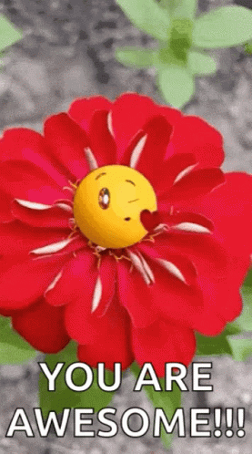 emoji-flowers.gif