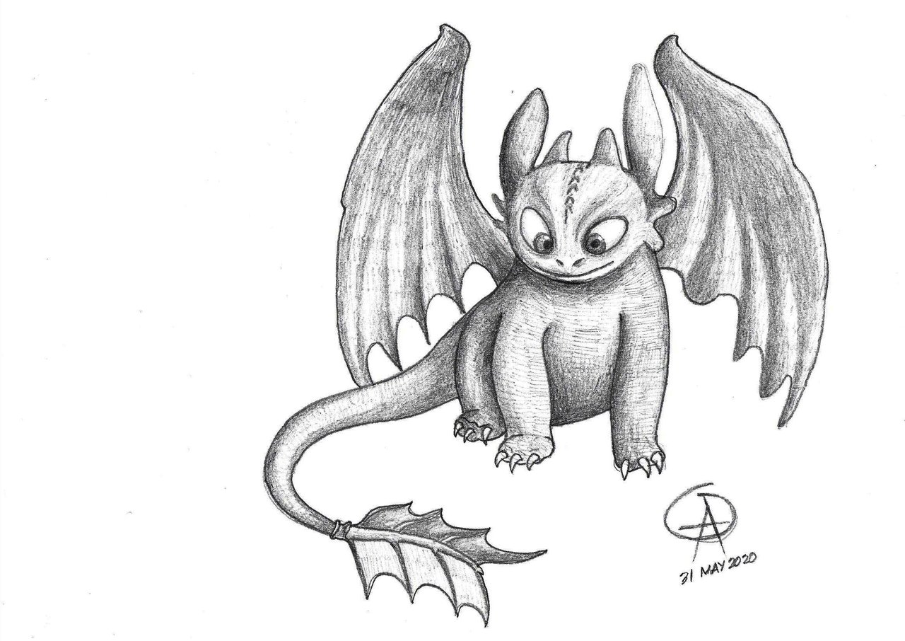 night fury dragon drawing