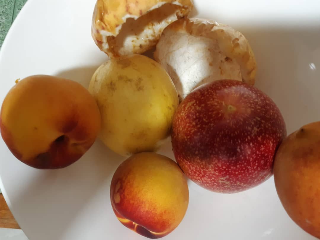 Smoothie-compot/passionate-peach/Batido- Compot/Parchi-Durazno.