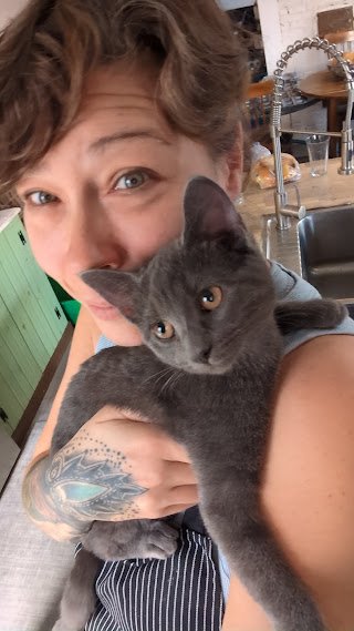 My weird little cat Tecca