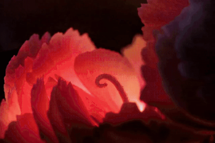 10848.gif