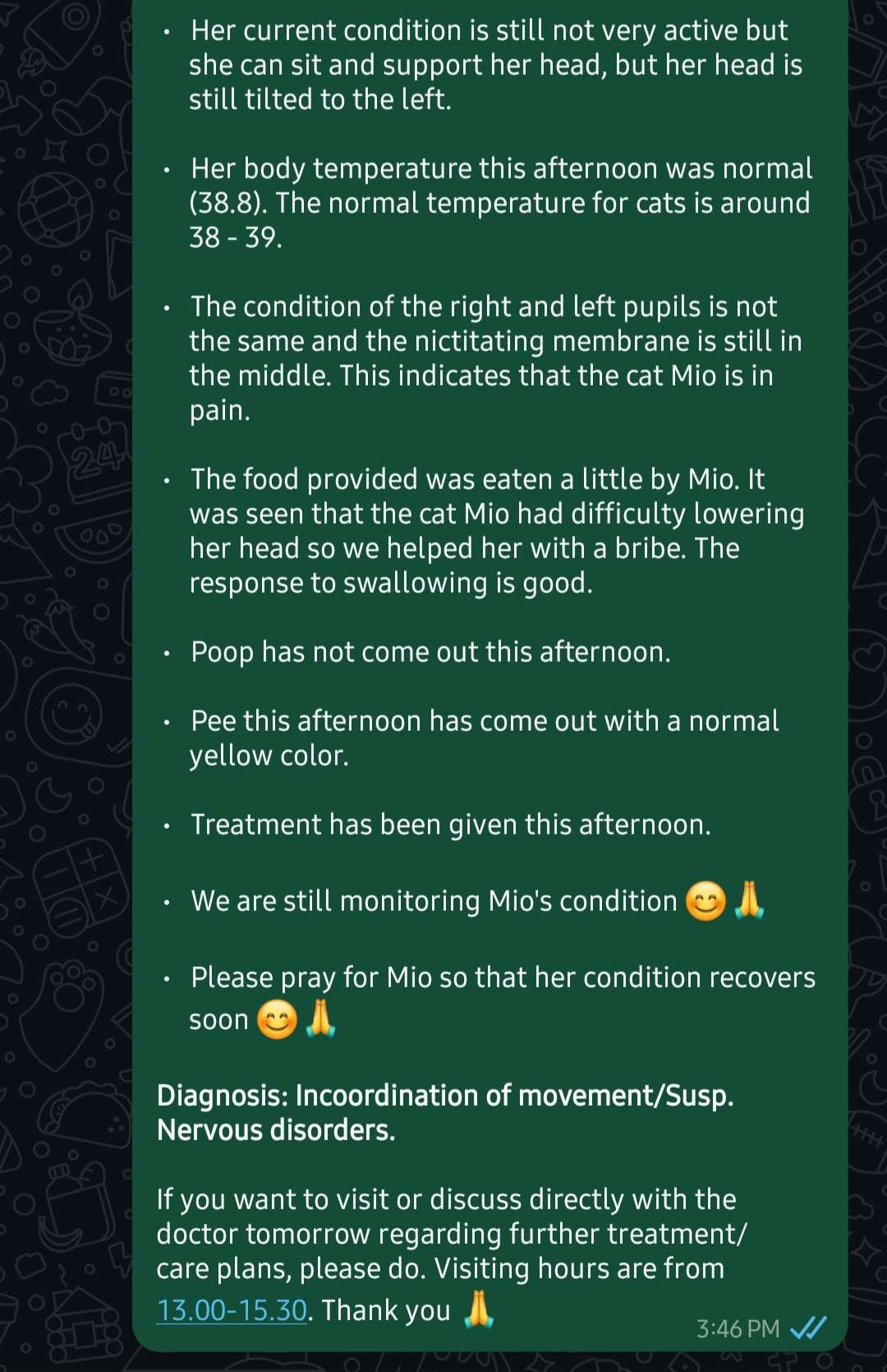 Pray for Mio