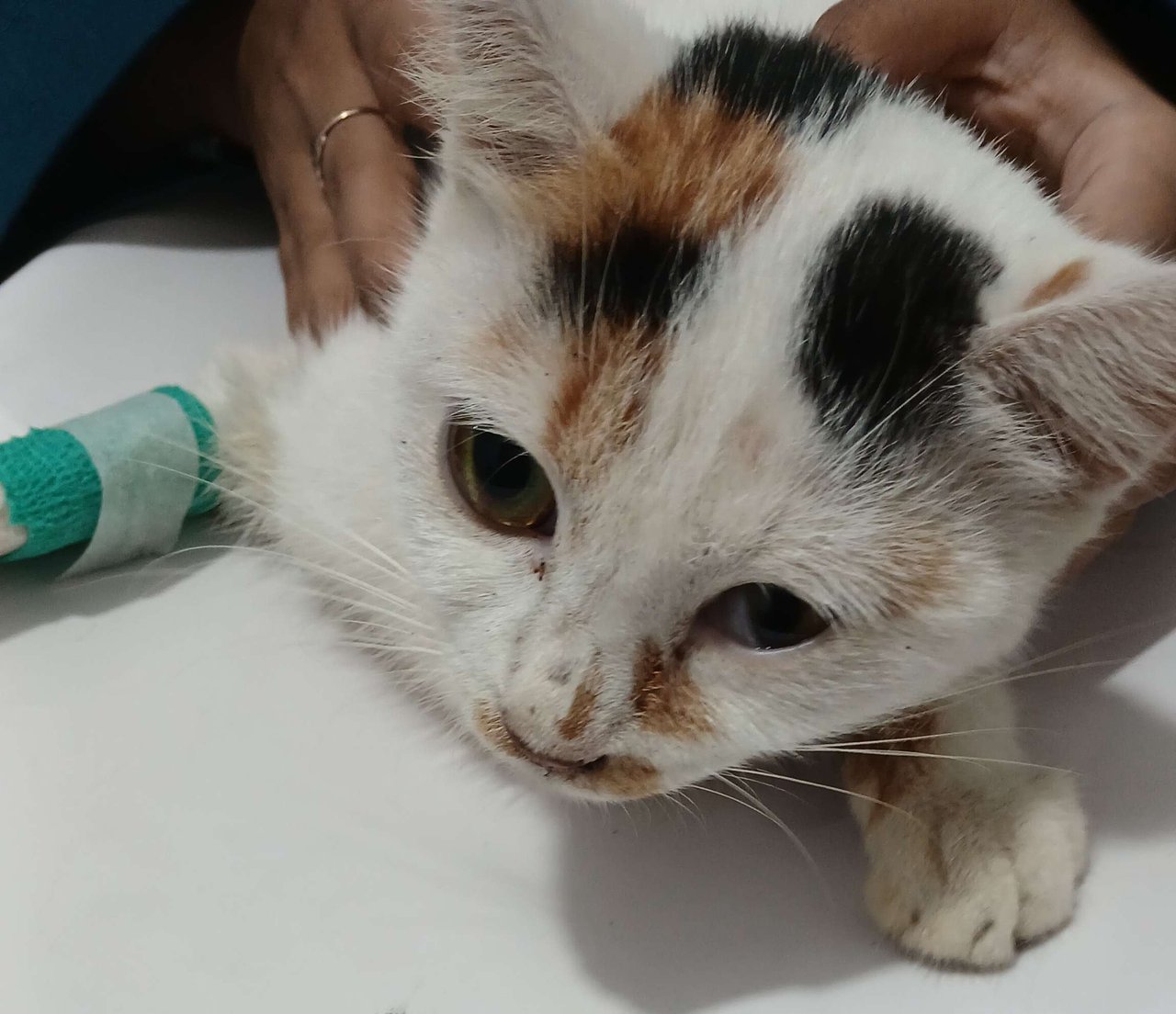 Pray for Mio