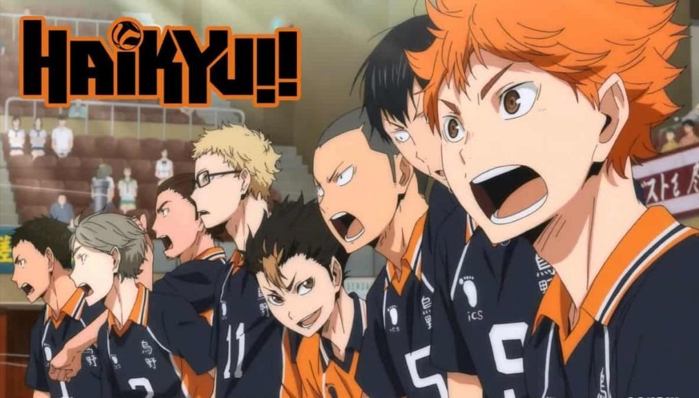 Get to know the team members of Karasuno High Volleyball team – Haikyuu!!  Reviews